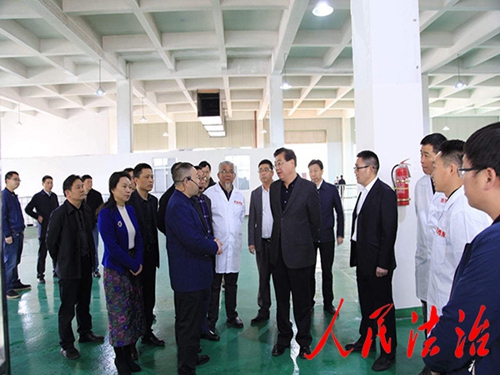 半岛在线体育网官网（中国）官方网站机械